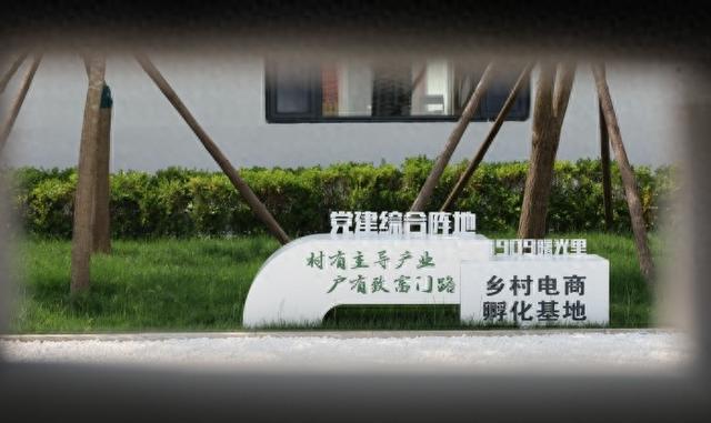 东港：“一茶多吃”赋能日照绿茶新“销路”(图1)