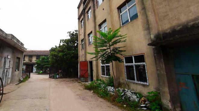 武汉蔡甸城区有座老工业园斑驳厂房散落机械零部件印记旧时光(图3) 武汉蔡甸城区有座老工业园斑驳厂房散落机械零部件印记旧时光(图3)